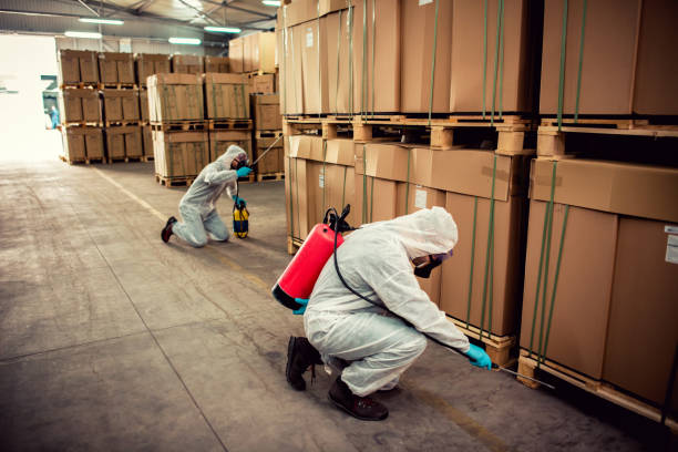 Best Affordable Pest Control Services  in Timberlane, IL