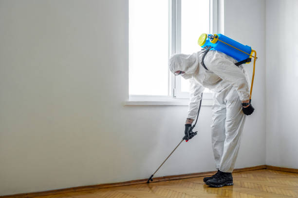 Best Best Pest Control Companies  in Timberlane, IL