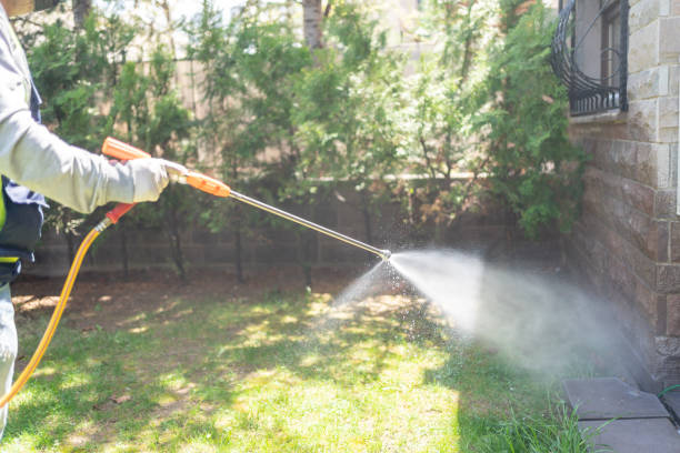 Wasp Removal Services in Timberlane, IL