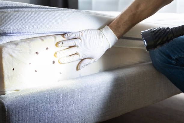 Best Exterminator Services  in Timberlane, IL