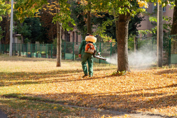 Best Pest Removal Services  in Timberlane, IL