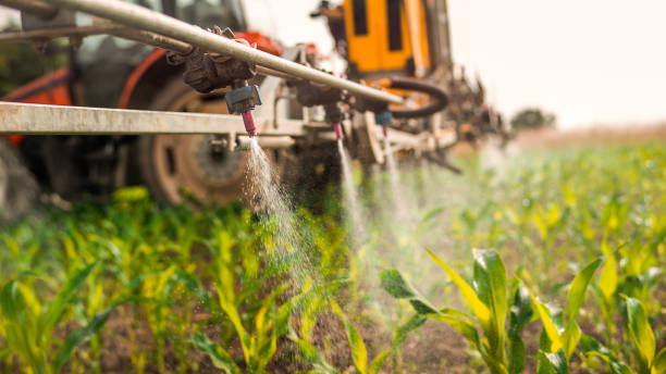 Professional Pest Control in Timberlane, IL