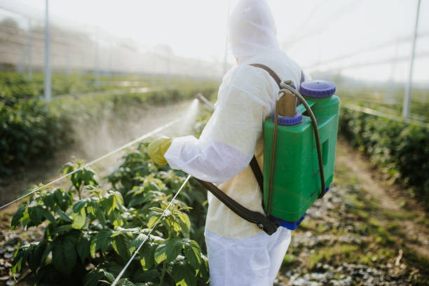 Professional Pest Control in Timberlane, IL